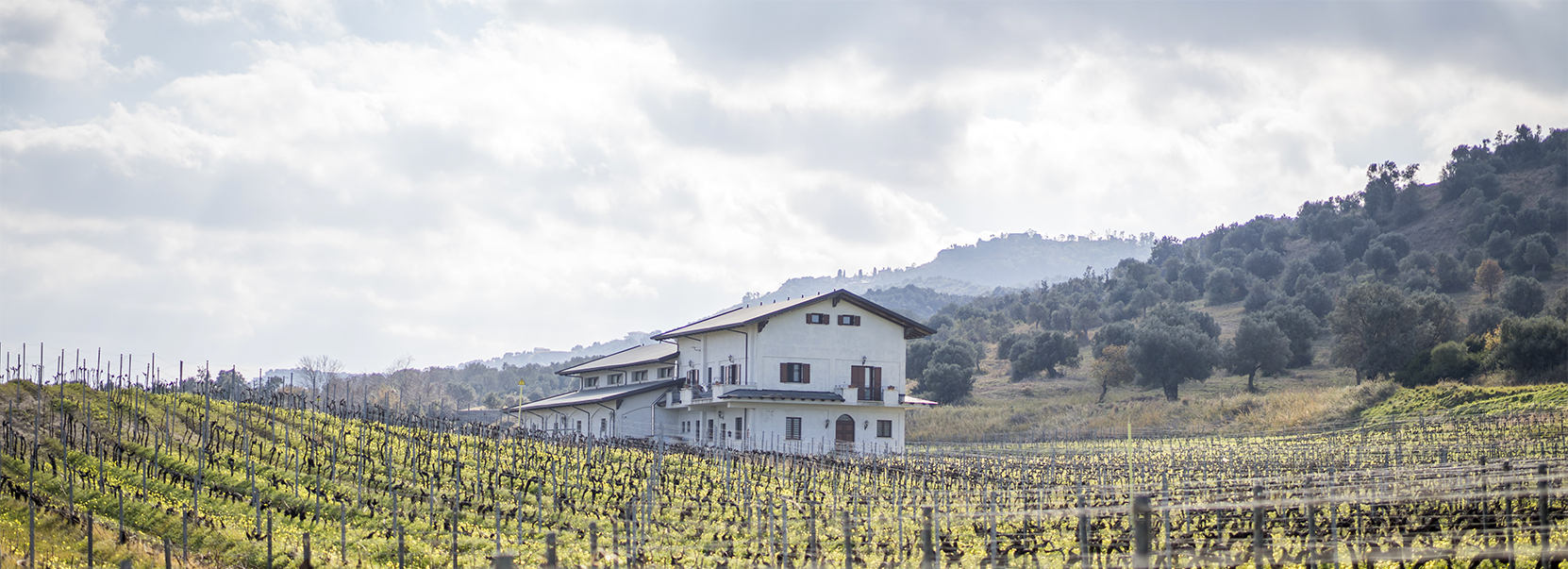 Tenuta Santoro Tenuta Santoro